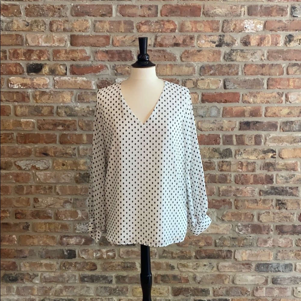 Banana Republic Long Sleeved Blouse